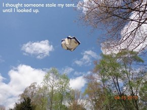 This Tent Just Had Dreams to Chase