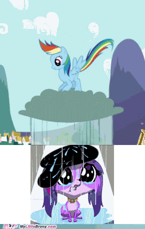 Raining on Little Pets
