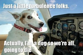 How'd You Get Your Pilot's License?