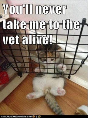 You'll never take me to the vet alive!