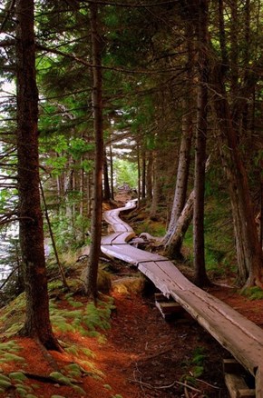 The Oregon Bike Trail