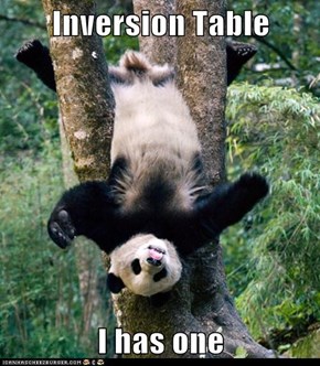 Inversion Table  I has one