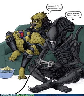 Alien vs Predator....for real