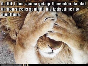 O, fffff, I don wanna get up. U member dat dat da lion sleeps at night. Dis iz daytime not nighttime.