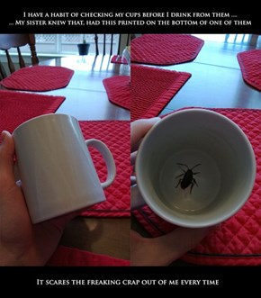Mug Prank WIN