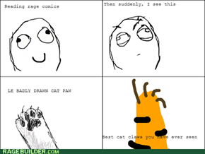 Every. Dang. Rage comic.