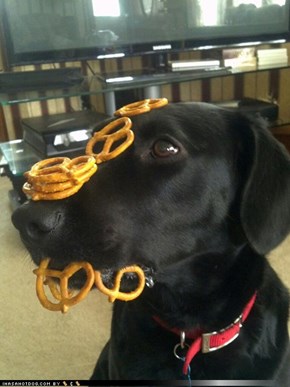 Obedience Level: Over 9000 (2.0)