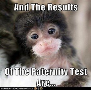 And The Results  Of The Paternity Test Are...