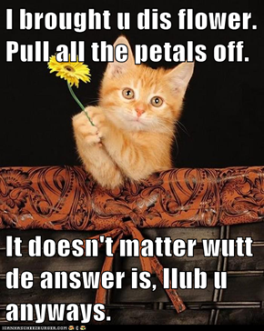 I brought u dis flower. Pull all the petals off.  It doesn't matter wutt de answer is, Ilub u anyways.