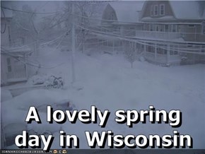 A lovely spring day in Wisconsin