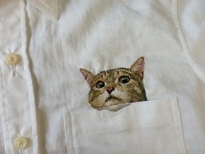 My Little Friend's Been Hiding in My Pocket