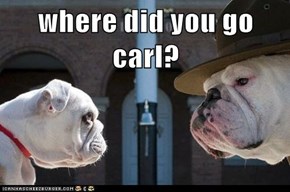 where did you go carl?