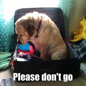 Don't Go!