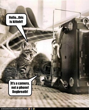 Hello...this is kitteh!!