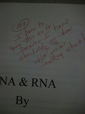 Now This Is How You Ace a Paper!