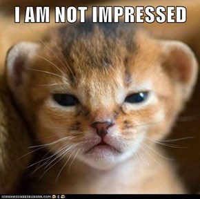 I AM NOT IMPRESSED