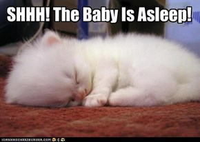 SHHH! The Baby Is Asleep!