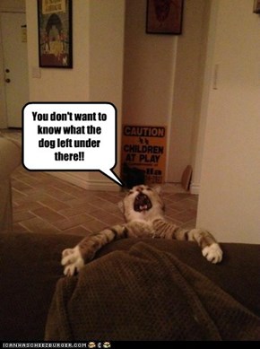 You don't want to know what the dog left under there!!