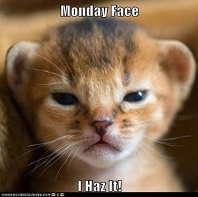 Monday Face  I Haz It!