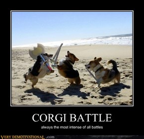 CORGI BATTLE
