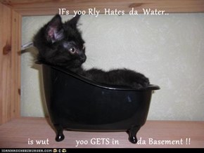IFs  yoo Rly  Hates  da  Water..        is wut            yoo GETS in        da Basement !!