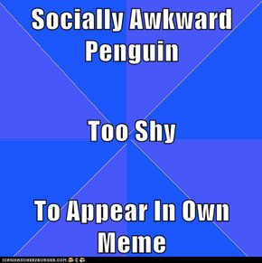 Socially Awkward Penguin  Too Shy  To Appear In Own Meme