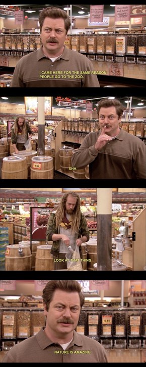 Ron Swanson at The Grocery Store