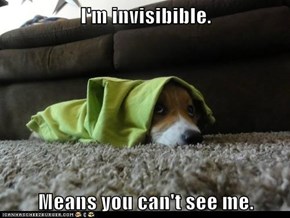 I'm invisibible.  Means you can't see me.
