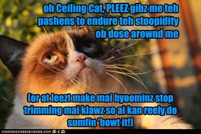 Grumpy Cat Prayz