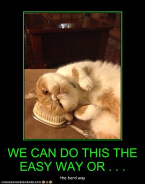 WE CAN DO THIS THE EASY WAY OR . . .