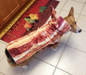 Now Everyone Will Know How Much I Love Bacon