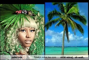 palm tree Totally Looks Like nicki minaj.. oh wait..
