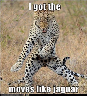 I got the   moves like jaguar