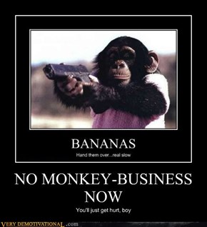 NO MONKEY-BUSINESS NOW