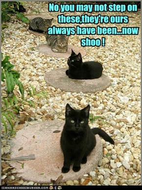 No you may not step on these,they're ours always have been...now shoo !