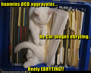 hoomins OCD aggravatez... he cat-aloges ebryting.. Reely EBRYTING!!