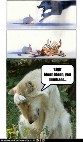 Moon Moon vs. Rabbit
