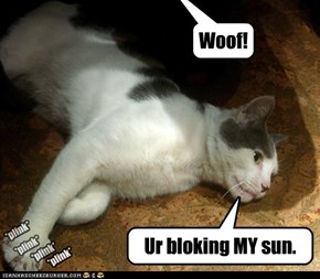 I did not order sunblok