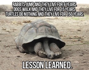Lesson Learned