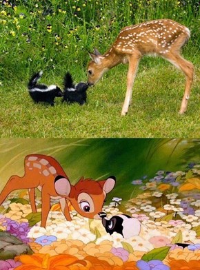 Bambi and Thumper IRL