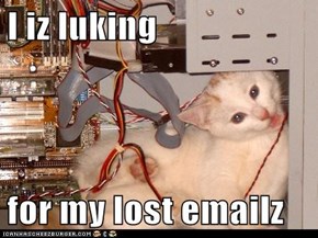 I iz luking  for my lost emailz