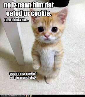 no iz nawt him dat eeted ur cookie.