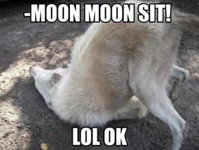 Meet Moon Moon 
