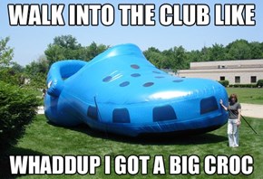There Was an Old Woman Who Lived in a Croc