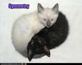 Symmetry