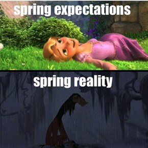 At Least It Isn't Snowing Anymore!