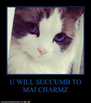 U WILL SUCCUMB TO MAI CHARMZ