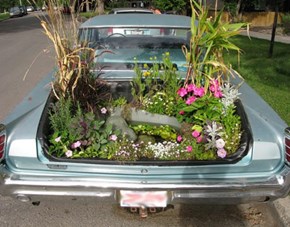 Garden in The Trunk