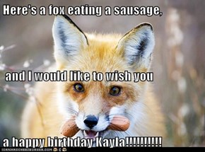 Here's a fox eating a sausage,  and I would like to wish you a happy birthday Kayla!!!!!!!!!!
