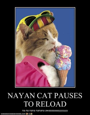 NAYAN CAT PAUSES TO RELOAD